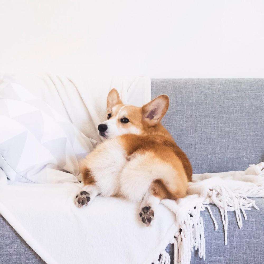 优德88·(中国游)有限公司官网